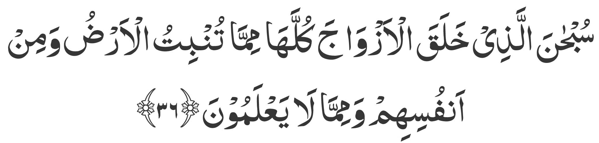 surah yasin ayat 36 in arabic