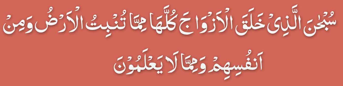 surah yasin ayat 36 arabic for husband 2nd marriage